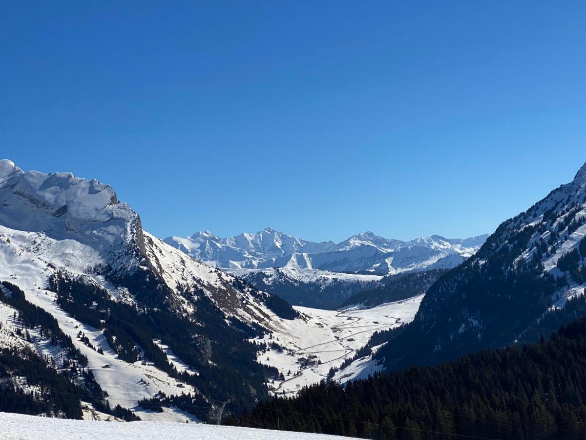 Les Bouquetins Lejlighed La Clusaz Eksteriør billede