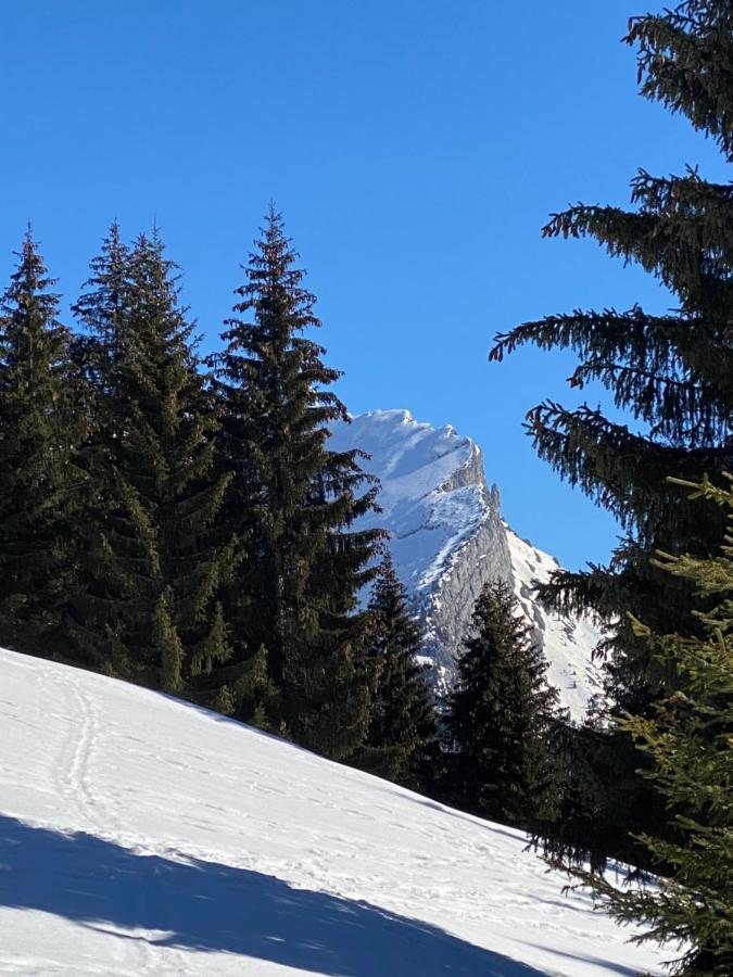 Les Bouquetins Lejlighed La Clusaz Eksteriør billede