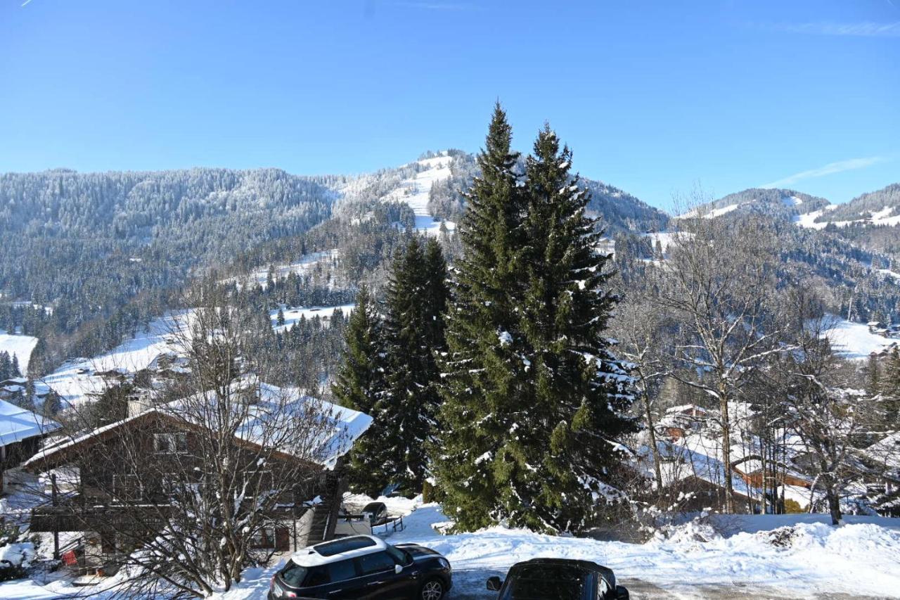 Les Bouquetins Lejlighed La Clusaz Eksteriør billede