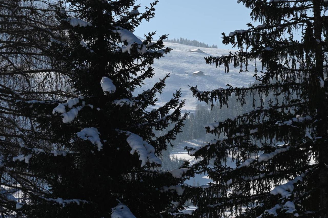 Les Bouquetins Lejlighed La Clusaz Eksteriør billede