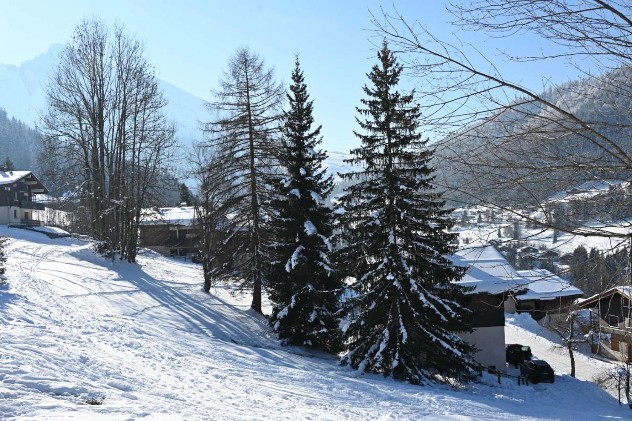 Les Bouquetins Lejlighed La Clusaz Eksteriør billede
