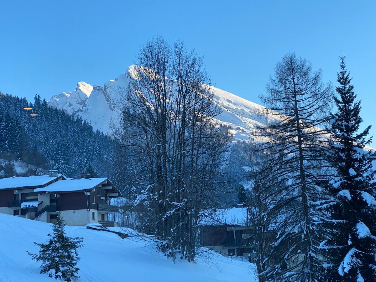 Les Bouquetins Lejlighed La Clusaz Eksteriør billede