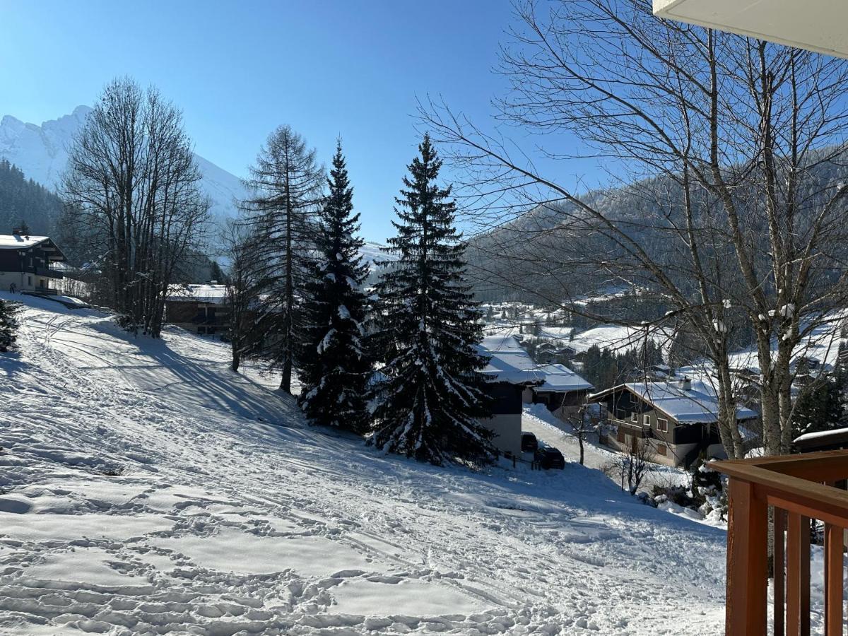 Les Bouquetins Lejlighed La Clusaz Eksteriør billede